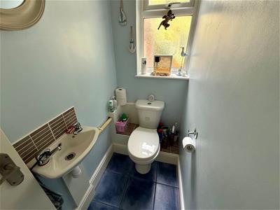 Picture 7